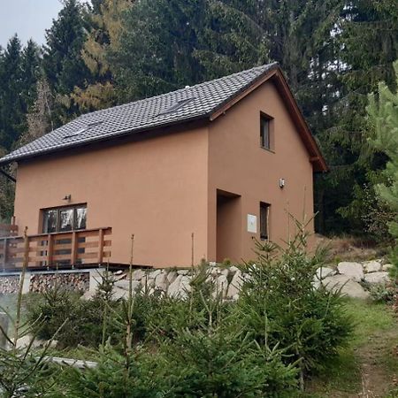 Chata Ostruzina 9 Lipno nad Vltavou Extérieur photo